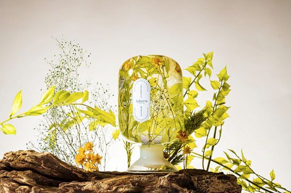 韓国発“森の呼吸”を感じるプラントオブジェブランド「huhuru」が日本に上陸！蔦屋書店3店舗で先行販売