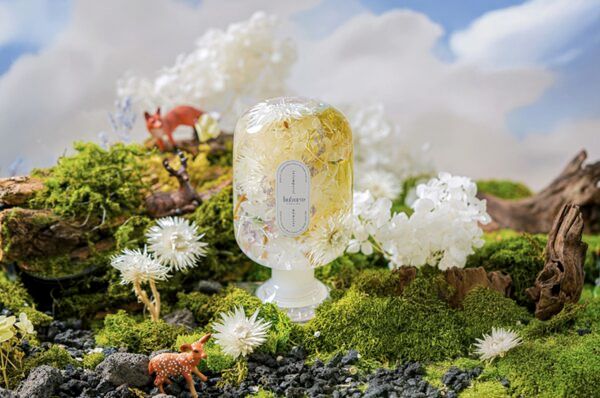 韓国発“森の呼吸”を感じるプラントオブジェブランド「huhuru」が日本に上陸！蔦屋書店3店舗で先行販売