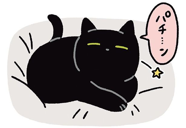 名前を呼んだらまばたきで返事してくれた （C）AKR／KADOKAWA