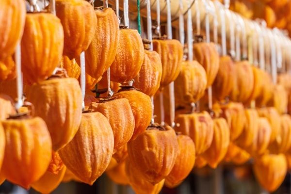 福島・南相馬で生まれた腕時計ブランドの人気シリーズに再生の願いを込めた新色が追加