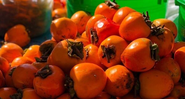 福島・南相馬で生まれた腕時計ブランドの人気シリーズに再生の願いを込めた新色が追加