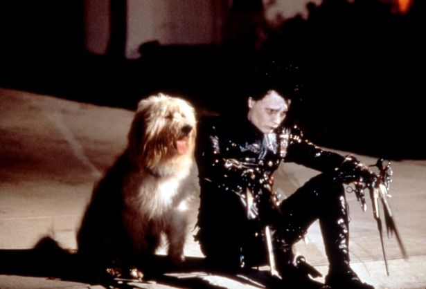 『シザーハンズ』は12月5日(金)より公開 [c]Everett Collection/AFLO