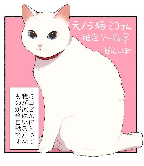 猫を飼うと、全自動の家に変化するワケとは…？ 久川はる(@hisakawa_haru)