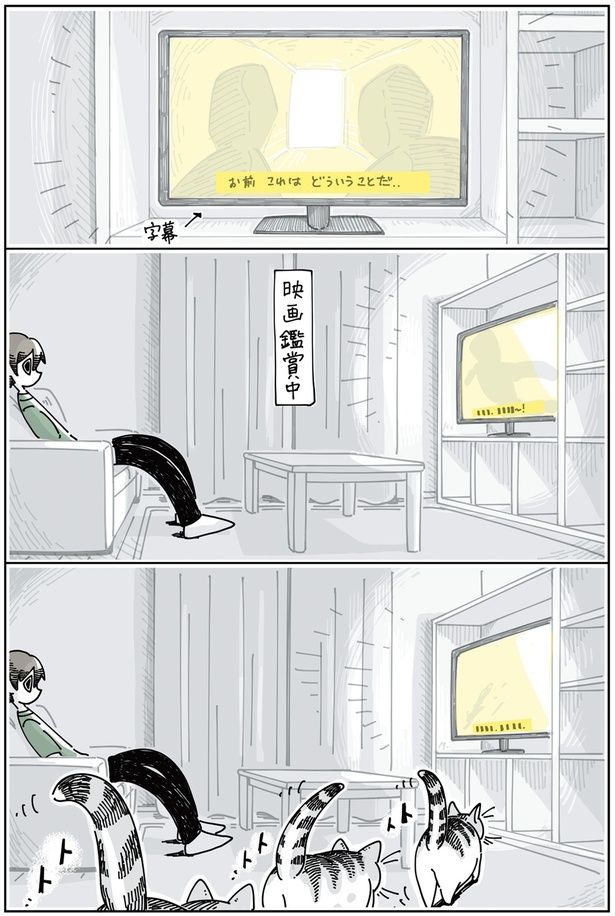 映画鑑賞をジャマするネコ （C）キュルZ／KADOKAWA