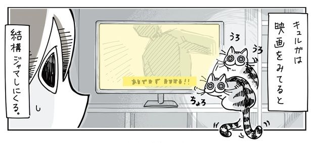 テレビ画面の前にやってきて… （C）キュルZ／KADOKAWA