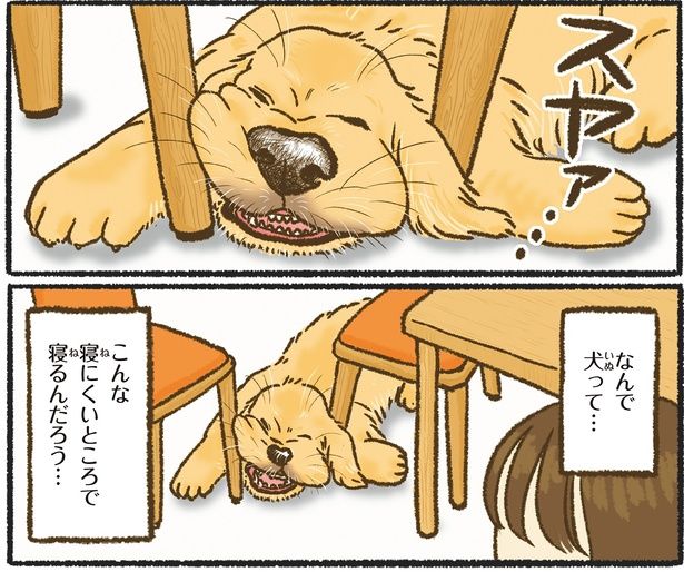 なんで犬って… （C）かんち（8kanchi8）／KADOKAWA