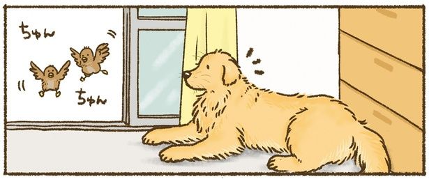 窓辺にて （C）かんち（8kanchi8）／KADOKAWA