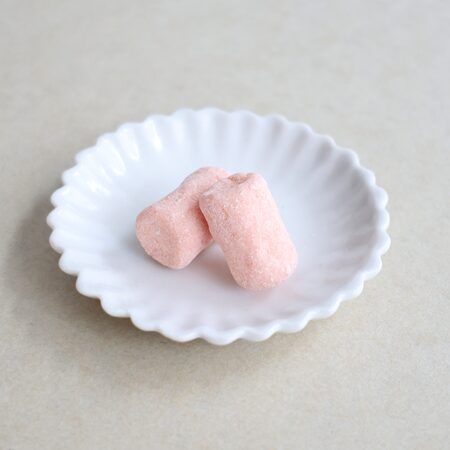 チョコ好き必食の「カカオ弁当」がリニューアル！オンライン＆東京駅で数量限定販売