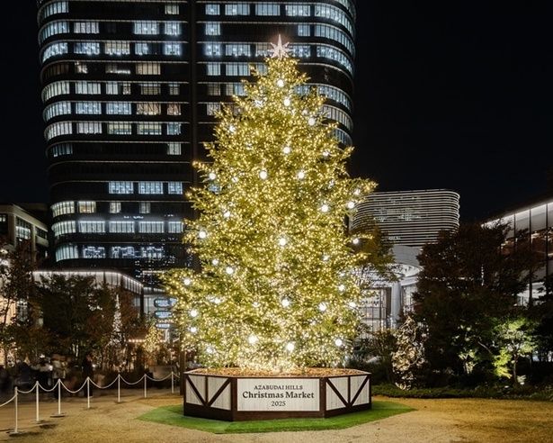 本物のもみの木でできたツリー。点灯時間は11時～22時