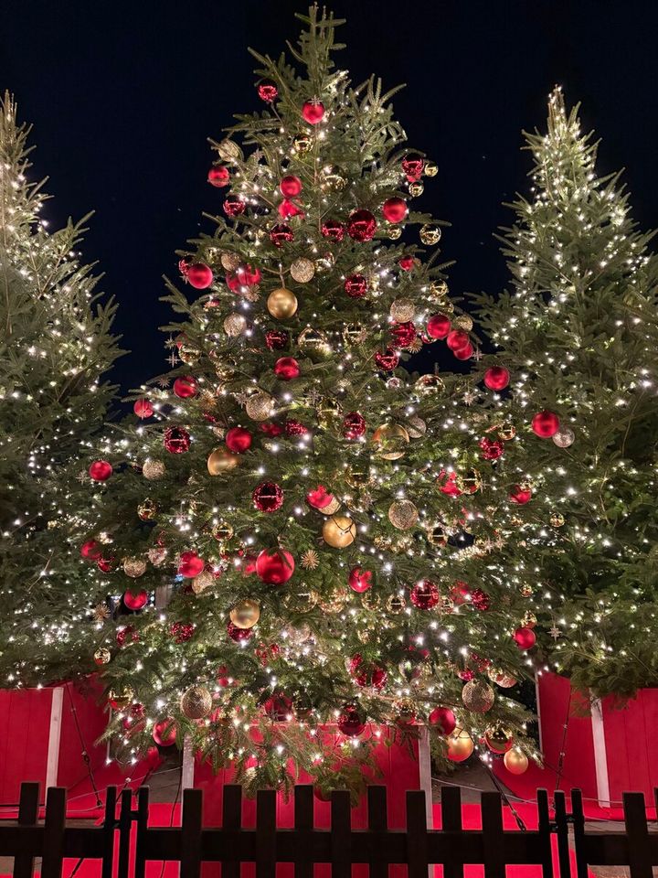 Christmas Market in 横浜赤レンガ倉庫 クリスマスツリー