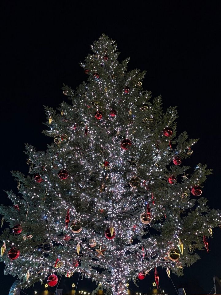 Christmas Market in 横浜赤レンガ倉庫 巨大クリスマスツリー