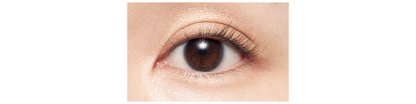 プレジール アイズ 03 使用