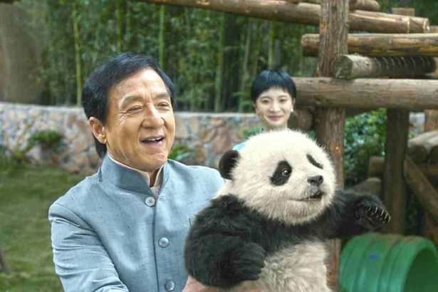【写真を見る】子どものような無邪気な表情でパンダを愛でるジャッキー・チェン [c] 2024 Emei Film Group Co., Ltd. Tianjin Maoyan Weying Cultural Media Co., Ltd. Longdongdong Pictures (Haikou) Co., Ltd.Ya' An Cultural Tourism Group Co, Ltd Aijia Film Industry Beijing Cheer Entertainment