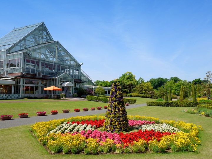 All About ニュース編集部が全国250人を対象に実施した「ご当地グルメに関するアンケート」の調査結果から、旅先で食べたい「千葉県のご当地グルメ」ランキングを発表！ 2位「ホワイト餃子」を抑えた1位は？