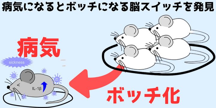 病気でだるいから「仲間との交流」を避けているのか？