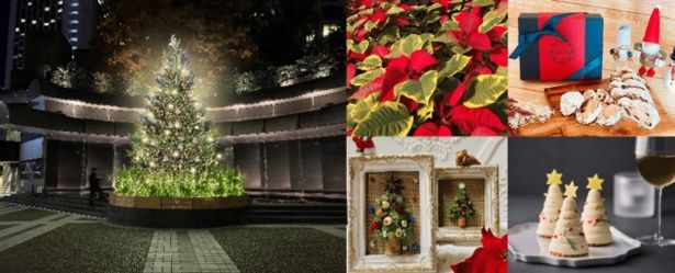 【画像】「ARK Hills Christmas 2025」開催中！クリスマスシーズンに特別なひとときを