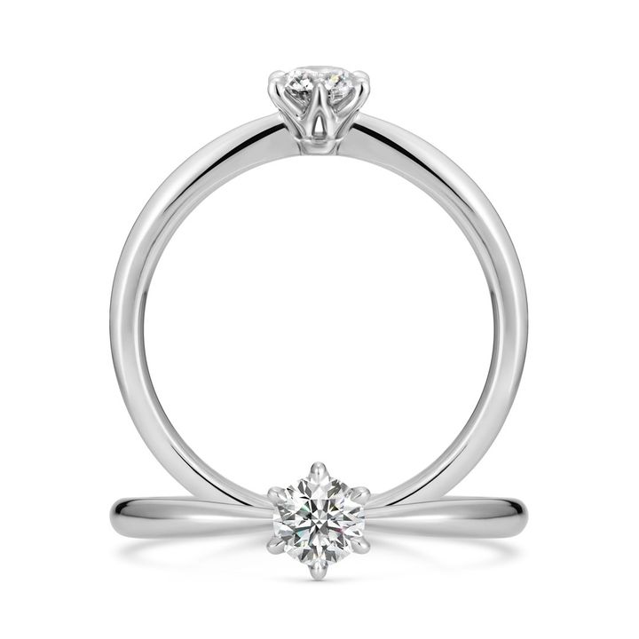 Caterina Colte -カテリーナ・コルテ-