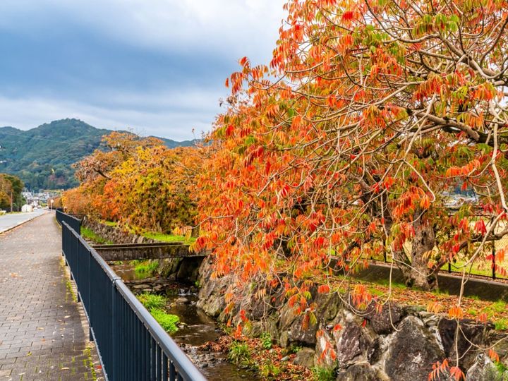 All About ニュース編集部が全国250人を対象に実施した道の駅に関するアンケートの調査結果から、子連れで行きたいと思う「福岡県の道の駅」ランキングを発表！ 2位「くるめ」を抑えた1位は？