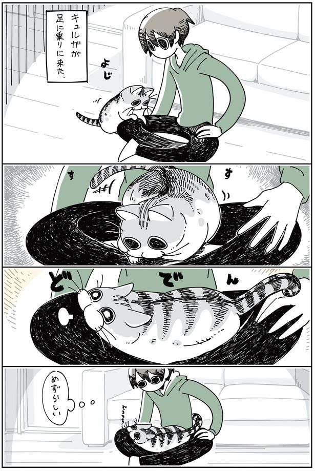 ネコが足に乗りに来た （C）キュルZ／KADOKAWA