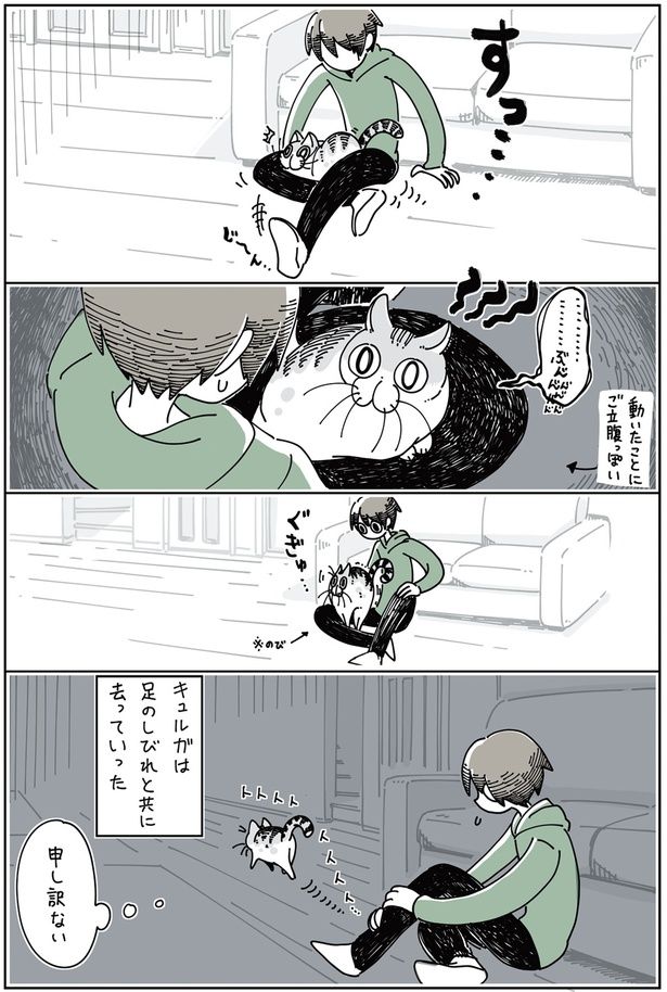 申し訳ない （C）キュルZ／KADOKAWA