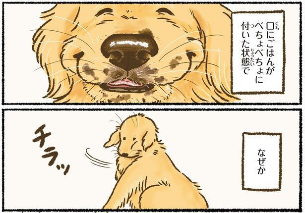 なぜか （C）かんち（8kanchi8）／KADOKAWA