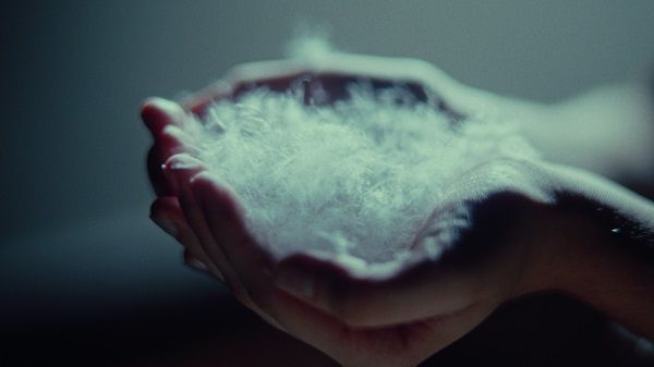 「RUIRUE BOUTIQUE」の上質を纏う新ライン「フレンチダウン」誕生！特集ページ公開中