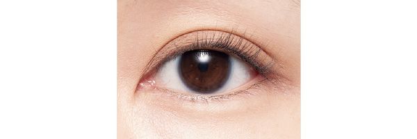 シングルアイシャドウ 21 使用