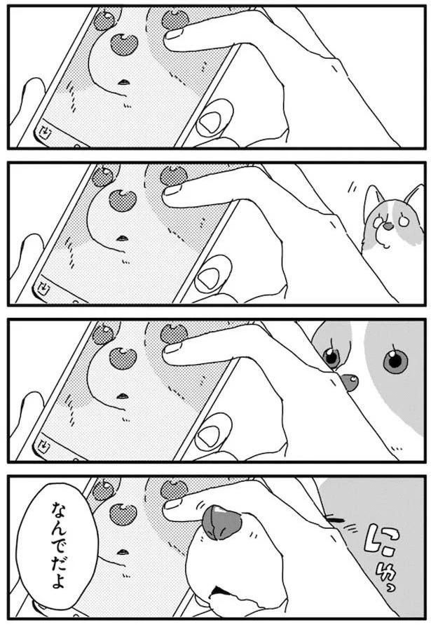 とーたんのスキマ (C)らくだ／KADOKAWA