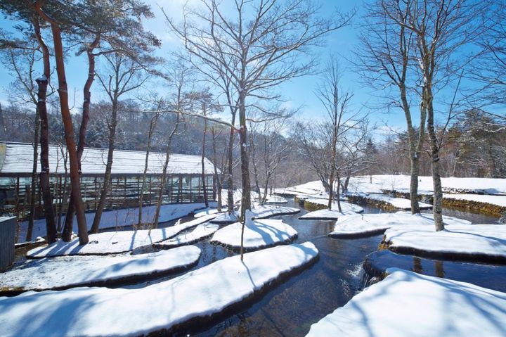 星のや軽井沢の棚田 冬の様子