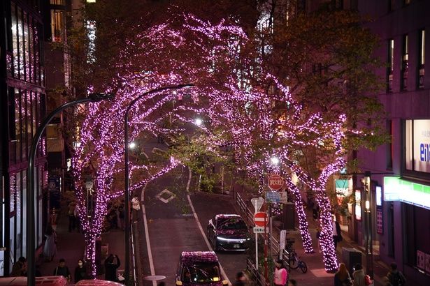 Shibuya Sakura Stage 2階・桜丘広場から見えるイルミネーション 撮影：ソムタム田井
