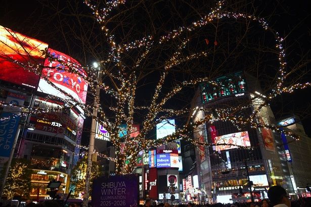 渋谷駅ハチ公広場周辺の木々に施されたイルミネーション 撮影：ソムタム田井