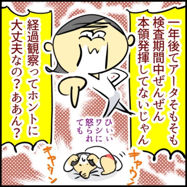 睡眠時無呼吸症候群の夫／へそ