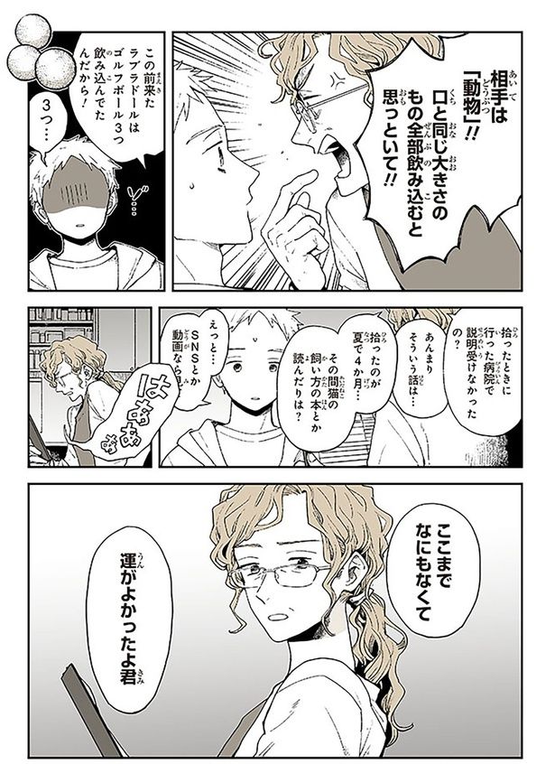 相手は動物！！ （C）稲空穂／実業之日本社