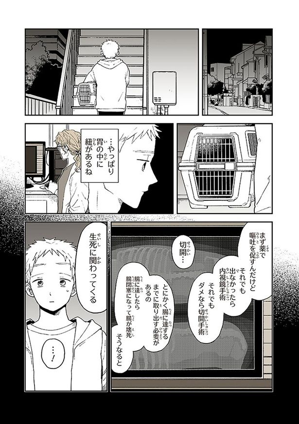 やっぱり胃の中に紐があるね （C）稲空穂／実業之日本社