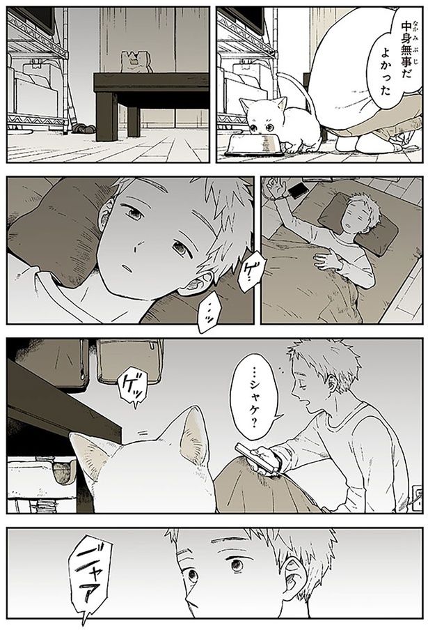 シャケ？ （C）稲空穂／実業之日本社