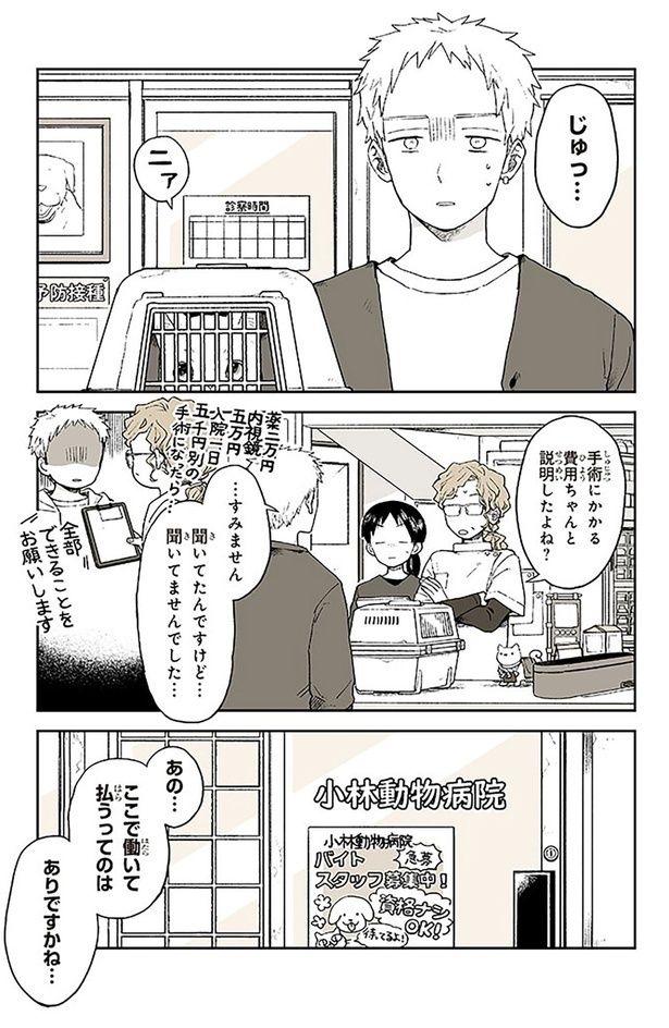 手術にかかる費用ちゃんと説明したよね？ （C）稲空穂／実業之日本社