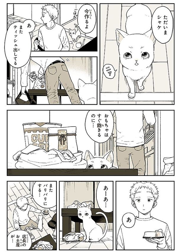 ただいまシャケ （C）稲空穂／実業之日本社