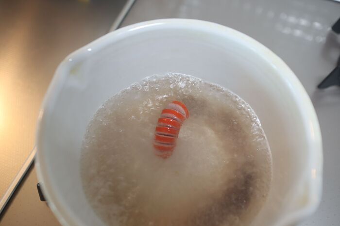 お弁当の中から『応援ウインナー』が登場♡「みんながんばれっ！」心がほっこりする〈簡単飾り切り4選〉に挑戦！