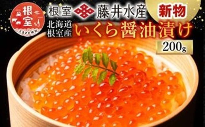 北海道 根室市【12/21まで年内配送】 【 北海道 根室 産】＜鮭匠ふじい＞ いくら 醤油漬(小分け)50g×4 14000 円