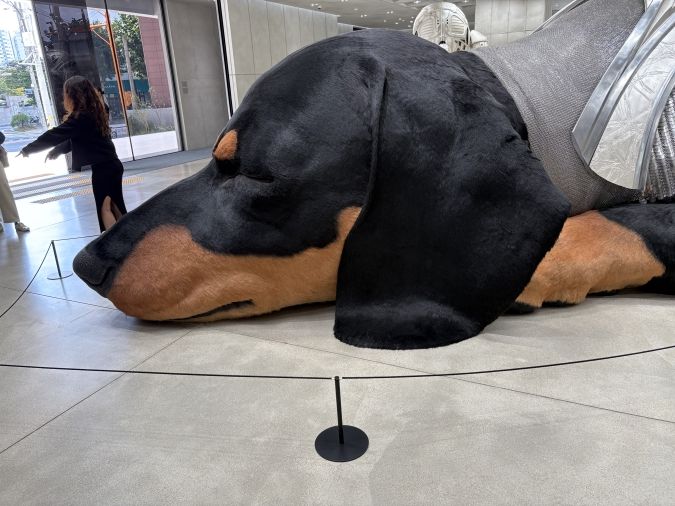 GENTLE MONSTER HAUS NOWHERE:店内