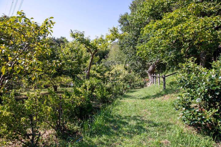 横浜の里山で見つけた上質な大人のカフェ♪築190年のお屋敷に佇む「久右衛門邸 納屋カフェ」