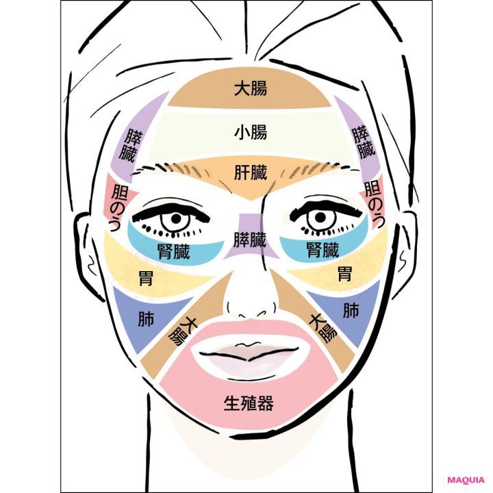 顔の反射区 第1の地図 フェイスマッピング