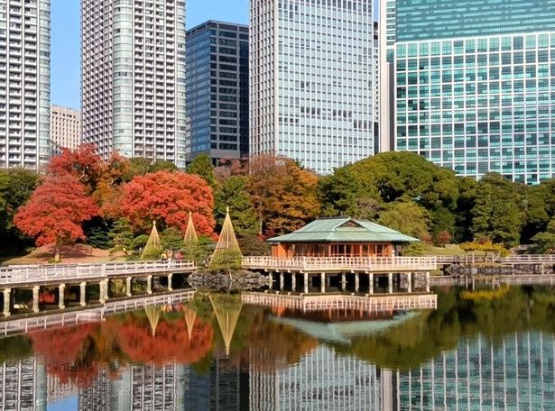 潮入の池周辺の紅葉/浜離宮恩賜庭園の紅葉 画像提供：公益財団法人東京都公園協会