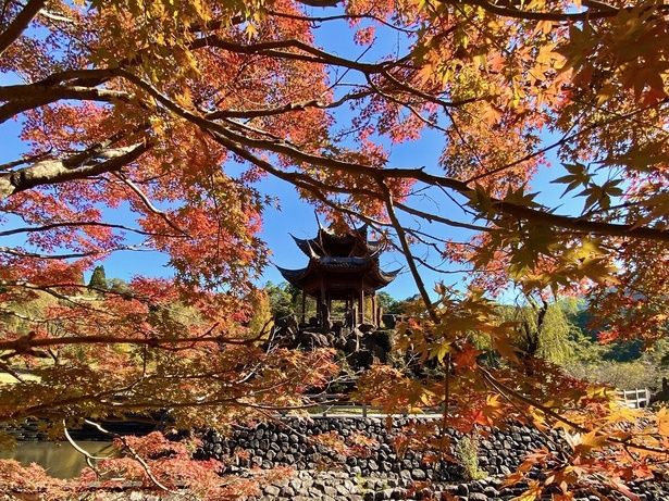 中国風庭園 冠嶽園と紅葉する山々との景色は絶景/冠岳の紅葉 画像提供：いちき串木野市総合観光案内所