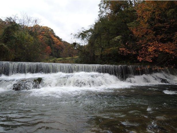 渓流の美しさと紅葉を楽しめる一の滝/稲葉山・宮島峡県定公園の紅葉 画像提供：小矢部市