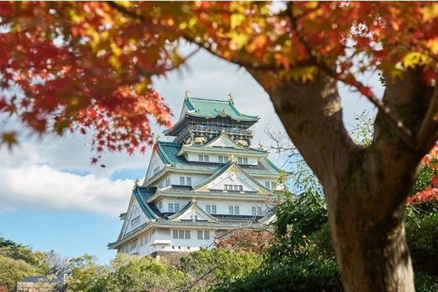 天守閣を中核に据えた、歴史のロマンがあふれる公園だ/大阪城公園の紅葉 画像提供：大阪城パークセンター