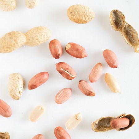 スナックミーオンラインストアで2025年の新豆の千葉県産早生種落花生を期間限定発売