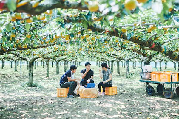 スナックミーオンラインストアで2025年の新豆の千葉県産早生種落花生を期間限定発売