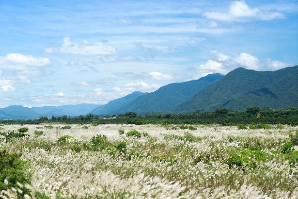 「風はどこからやってくるの？」風が吹くメカニズムを解説！ （C）hsiughin／PIXTA