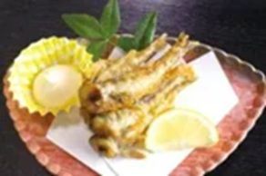 【兵庫県南あわじ市】福島の水産品が兵庫に集合！“常磐もの”の販売や試食を行う「ふくしま常磐大漁市」開催